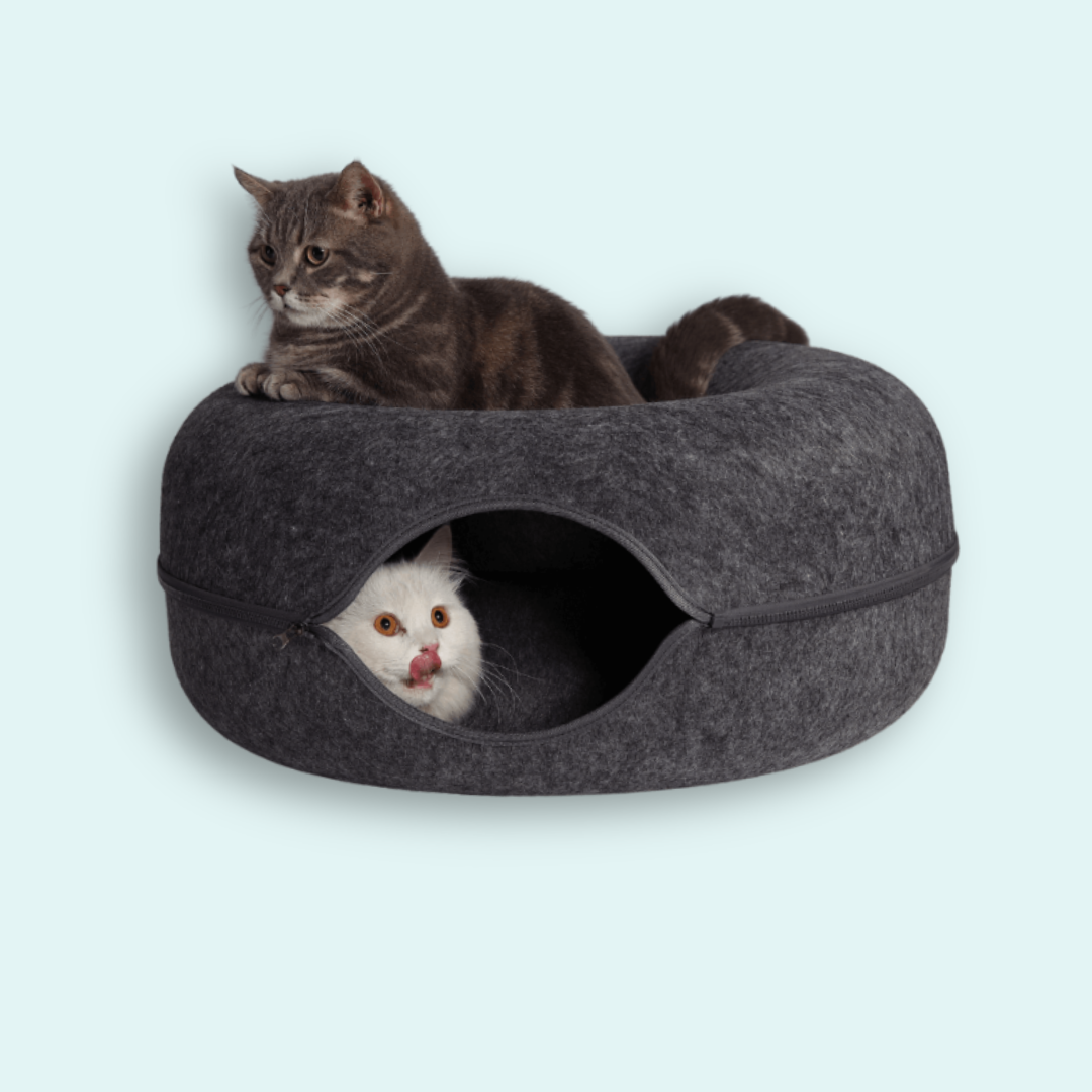 Donut Kedi Yatağı - Donut Kedi Tüneli