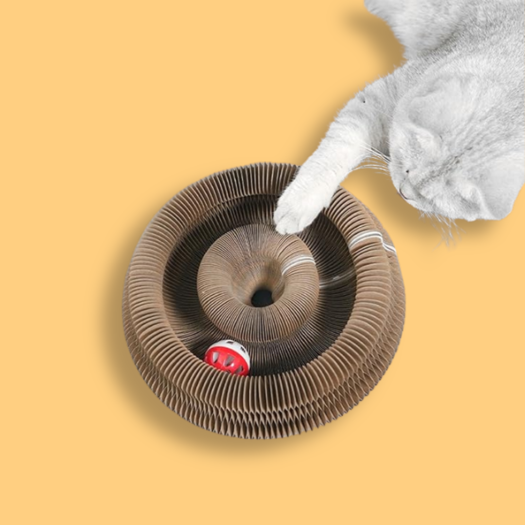 Akordiyon Tırmalama Oyuncağı