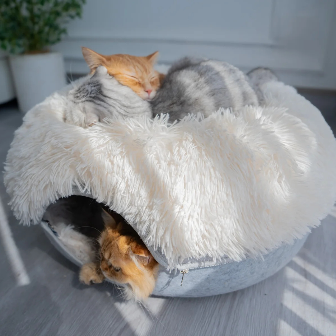 Peluş Donut Kedi Tüneli