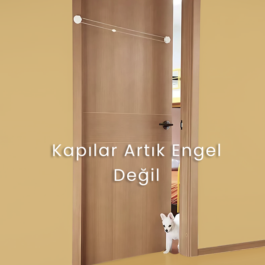 evcil hayvan kapı aparatı