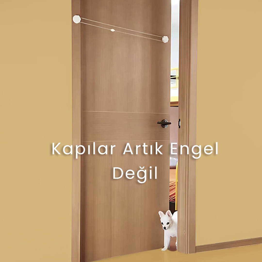 evcil hayvan kapı aparatı