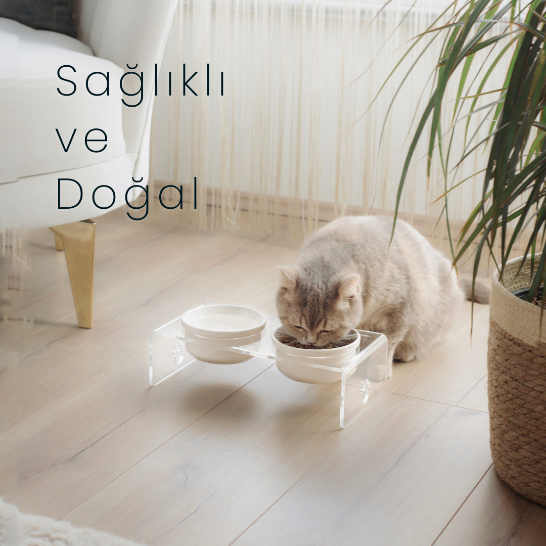 Pleksi Mama Kabı