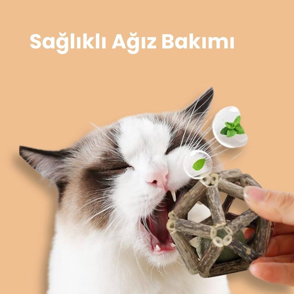 Kestane – Matatabi Oyun Topu & Ağız Temizleyici