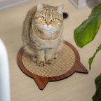 Sisal Kedi Tırmalama Tahtası