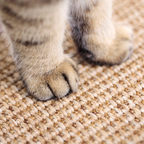 Sisal Kedi Tırmalama Tahtası